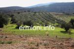 GL 0176 - Kabayianna Land - Fourni - Ermionida